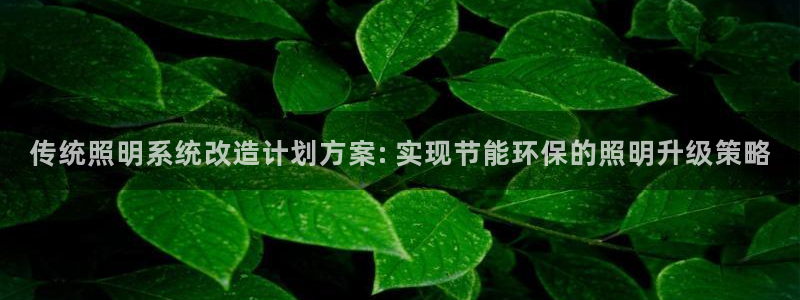 千亿国际官方网站入口在线观看